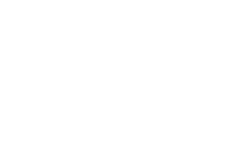 The University of Kansas